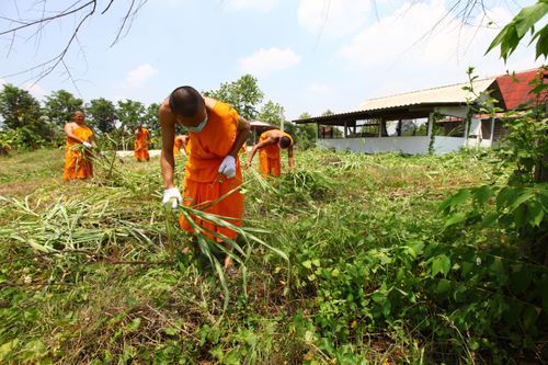 ภาพ No.2127:พัฒนาวัด