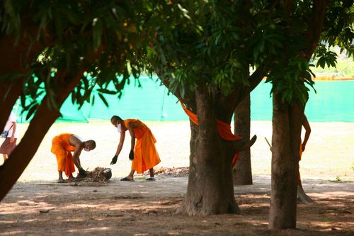 ภาพ No.2129:พัฒนาวัด