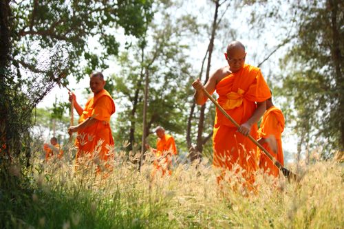 ภาพ No.2132:พัฒนาวัด