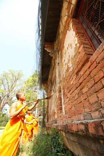 ภาพ No.2135:พัฒนาวัด