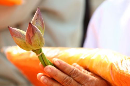 ภาพ No.1889:ก่อนบรรพชา