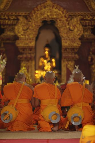 ภาพ No.2062:อุปสมบท