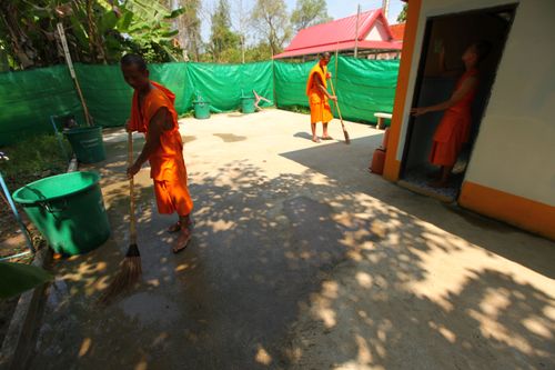 ภาพ No.2142:พัฒนาวัด