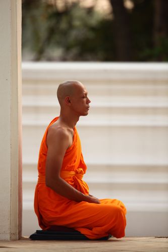 ภาพ No.2069:อุปสมบท