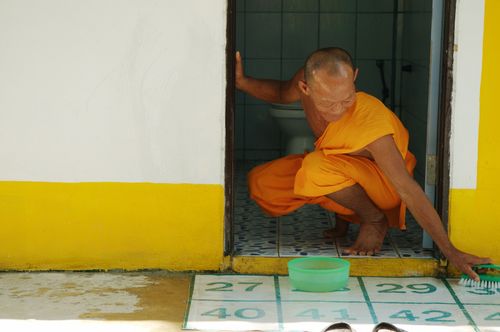 ภาพ No.2154:พัฒนาวัด