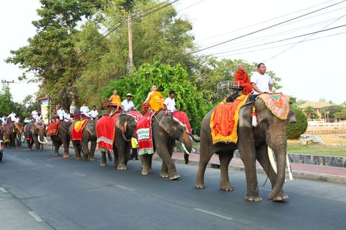 ภาพ No.1917:ก่อนบรรพชา