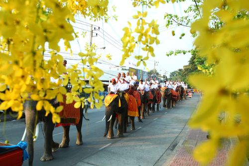 ภาพ No.1921:ก่อนบรรพชา