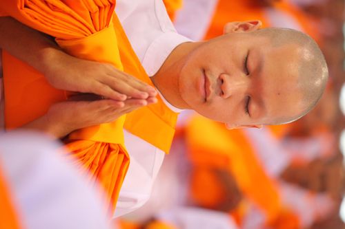 ภาพ No.2023:งานวันบรรพชา