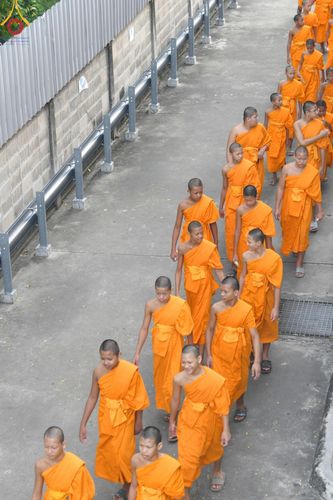 ภาพ No.174603:พิธีถวายภัตตาหารเมนูสวรรค์ เพื่อการบรรลุธรรม ณ หอฉันคุณยายอาจารย์ฯ วัดพระธรรมกาย วันที่ 23 พฤศจิกายน พ.ศ. 2567