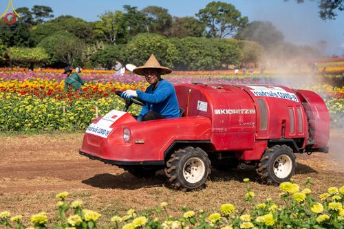 ภาพ No.188276:บรรยากาศ ทุ่งสวรรค์หรรษาพนาวัฒน์ ณ สวนพนาวัฒน์ อ.ฮอด จ.เชียงใหม่ เปิดให้เข้าชมฟรี ระหว่างวันที่ 28 ธันวาคม พ.ศ. 2567 ถึง วันที่ 3 มกราคม พ.ศ. 2568 เวลา 08.00-17.00 น.