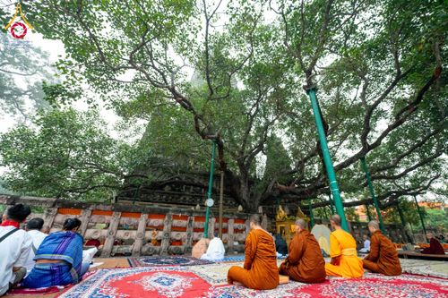 ภาพ No.176074:พิธีทอดผ้าป่าสมทบกฐิน ณ วัดพุทธคยา บานา วิหาร เมืองคยา รัฐพิหาร ประเทศอินเดีย โดยมูลนิธิธรรมกาย ในนามหลวงพ่อธัมมชโย  วันที่ 12 พฤศจิกายน พ.ศ. 2567