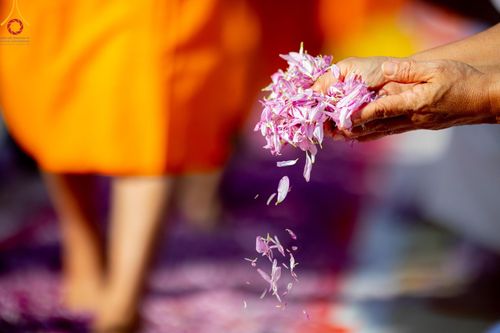 ภาพ No.193217:พิธีต้อนรับพระธรรมยาตรา ณ อนุสรณ์สถาน สถานที่เกิดในเพศสมณะ วัดสองพี่น้อง อำเภอสองพี่น้อง จังหวัดสุพรรณบุรี ในโครงการธรรมยาตรา กตัญญูบูชา มหาปูชนียาจารย์ พระมงคลเทพมุนี(สด จนฺทสโร) พระผู้ปราบมาร อนุสรณ์สถาน 7 แห่ง ปีที่ 13 วันที่ 11 มกราคม พ.ศ. 2568