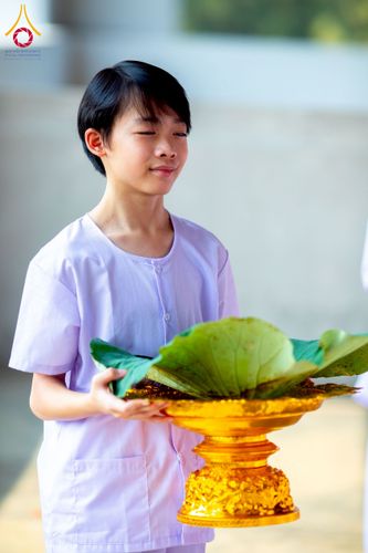 ภาพ No.213498:วันเสาร์ที่ 29 มีนาคม พ.ศ. 2568 พิธีปลงผม โครงการสามเณรยุวธรรมทายาท รุ่นที่ 33 โครงการสามเณรมัชฌิมธรรมทายาท รุ่นที่ 29 ณ ห้องปฏิบัติธรรมวิหารคด คอร์ 13 วัดพระธรรมกาย