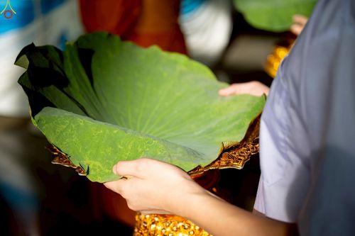 ภาพ No.248559:วันที่ 28 กันยายน พ.ศ. 2568 พิธีตัดปอยผม และปลงผม โครงการอุปสมบทบูชาธรรม 141 ปี พระมงคลเทพมุนี ณ วิหารคด วัดพระธรรมกาย