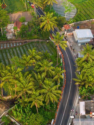 ภาพ No.105141:สามเณรธรรมทายาทชาวอินโดนีเซียกว่า 1,000 รูป เดินธรรมยาตรา บูชาพระสัมมาสัมพุทธเจ้า ณ มหาเจดีย์บุโรพุทโธ ประเทศอินโดนีเซีย ในวันที่ 27 ธันวาคม พ.ศ. 2566