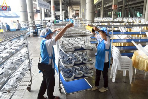 ภาพ No.218416:วันที่ 15 - 18 เมษายน พ.ศ. 2568 การเตรียมภาชนะสำหรับถวายภัตตาหาร , การจัดโต๊ะเก้าอี้ในลานธรรม , การแพ็คพัสดุงานต้อนรับ เพื่องานวันคุ้มครองโลก 22 เมษายน พ.ศ.2568 วัดพระธรรมกาย