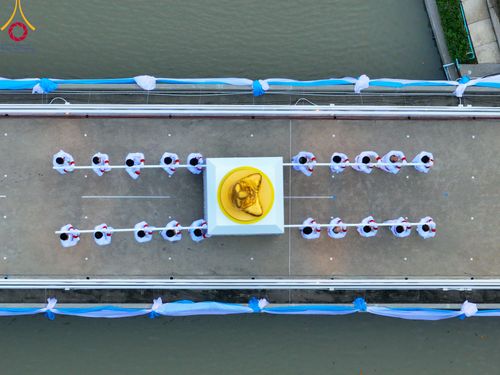 ภาพ No.89196:พิธีอัญเชิญรูปหล่อทองคำ  คุณยายอาจารย์มหารัตนอุบาสิกาจันทร์ ขนนกยูง เพื่อประดิษฐาน ณ มหาวิหารคุณยายอาจารย์ฯ เนื่องในวันครูผู้ค้นพบวิชชาธรรมกาย วันศุกร์ที่ 29 กันยายน พ.ศ. 2566