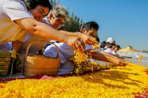 ภาพ No.5748:ประมวลภาพธุดงค์ธรรมชัย ปีที่ 2 วันที่ 2 มกราคม พ.ศ.2556