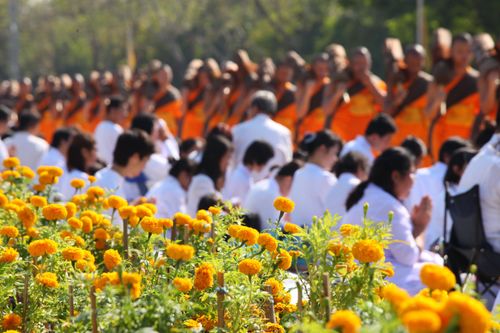 ภาพ No.5906:ประมวลภาพธุดงค์ธรรมชัย ปีที่ 2 วันที่ 2 มกราคม พ.ศ.2556