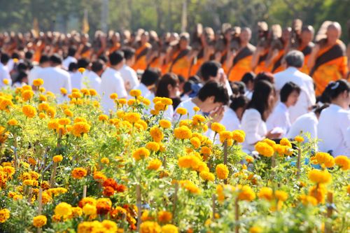 ภาพ No.5898:ประมวลภาพธุดงค์ธรรมชัย ปีที่ 2 วันที่ 2 มกราคม พ.ศ.2556