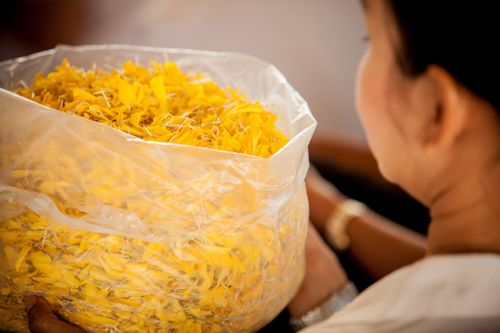 ภาพ No.5936:ประมวลภาพธุดงค์ธรรมชัย ปีที่ 2 วันที่ 2 มกราคม พ.ศ.2556