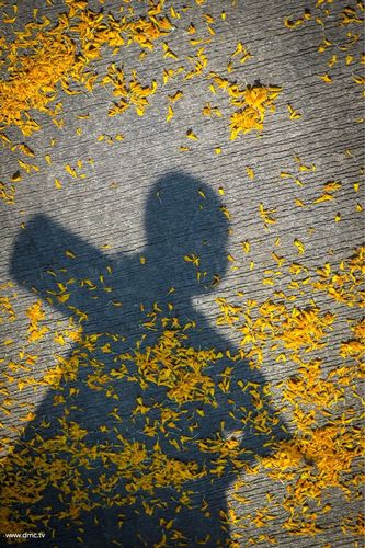 ภาพ No.5986:ประมวลภาพธุดงค์ธรรมชัย ปีที่ 2 วันที่ 3 มกราคม พ.ศ.2556