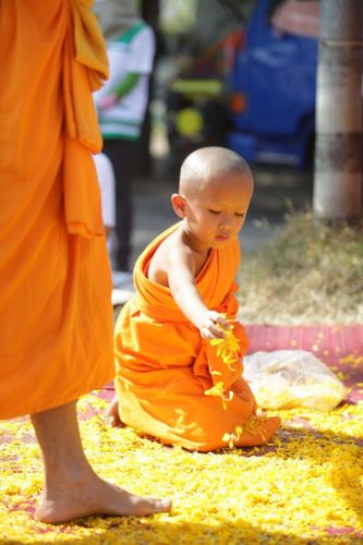 ภาพ No.5997:ประมวลภาพธุดงค์ธรรมชัย ปีที่ 2 วันที่ 3 มกราคม พ.ศ.2556