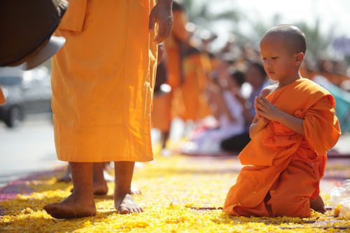 ภาพ No.5998:ประมวลภาพธุดงค์ธรรมชัย ปีที่ 2 วันที่ 3 มกราคม พ.ศ.2556