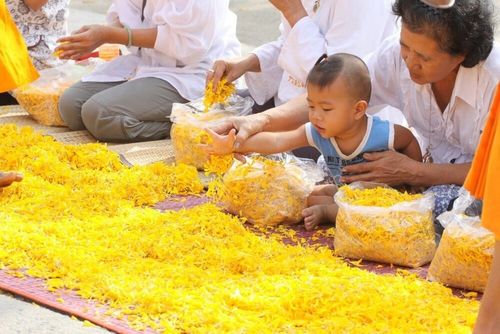 ภาพ No.6065:ประมวลภาพธุดงค์ธรรมชัย ปีที่ 2 วันที่ 4 มกราคม พ.ศ.2556