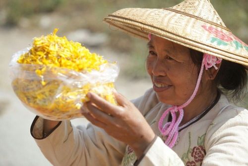 ภาพ No.6066:ประมวลภาพธุดงค์ธรรมชัย ปีที่ 2 วันที่ 4 มกราคม พ.ศ.2556