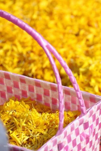 ภาพ No.6180:ประมวลภาพธุดงค์ธรรมชัย ปีที่ 2 วันที่ 5 มกราคม พ.ศ.2556