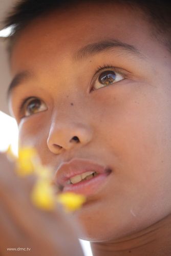 ภาพ No.6109:ประมวลภาพธุดงค์ธรรมชัย ปีที่ 2 วันที่ 5 มกราคม พ.ศ.2556