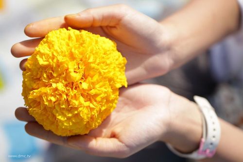 ภาพ No.6120:ประมวลภาพธุดงค์ธรรมชัย ปีที่ 2 วันที่ 5 มกราคม พ.ศ.2556