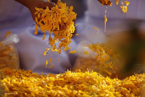 ภาพ No.6123:ประมวลภาพธุดงค์ธรรมชัย ปีที่ 2 วันที่ 5 มกราคม พ.ศ.2556