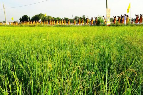 ภาพ No.6133:ประมวลภาพธุดงค์ธรรมชัย ปีที่ 2 วันที่ 5 มกราคม พ.ศ.2556