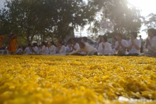 ภาพ No.6206:ประมวลภาพธุดงค์ธรรมชัย ปีที่ 2 วันที่ 6 มกราคม พ.ศ.2556