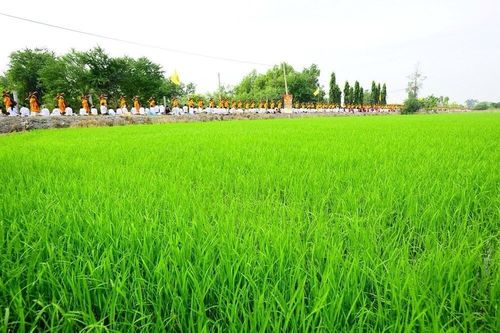 ภาพ No.6212:ประมวลภาพธุดงค์ธรรมชัย ปีที่ 2 วันที่ 6 มกราคม พ.ศ.2556