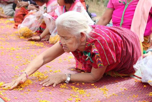 ภาพ No.6226:ประมวลภาพธุดงค์ธรรมชัย ปีที่ 2 วันที่ 6 มกราคม พ.ศ.2556