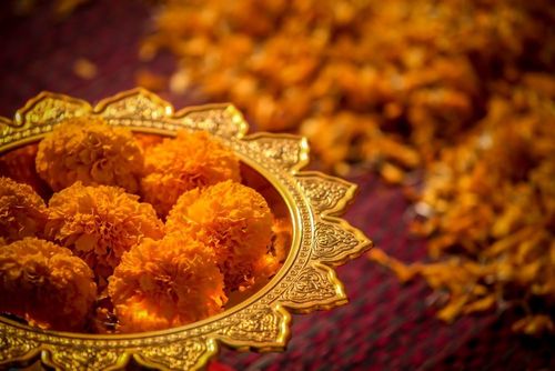 ภาพ No.6235:ประมวลภาพธุดงค์ธรรมชัย ปีที่ 2 วันที่ 6 มกราคม พ.ศ.2556