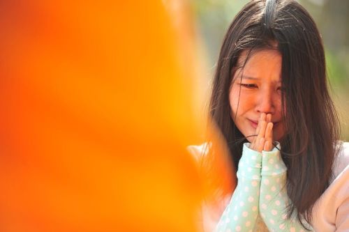 ภาพ No.6236:ประมวลภาพธุดงค์ธรรมชัย ปีที่ 2 วันที่ 6 มกราคม พ.ศ.2556