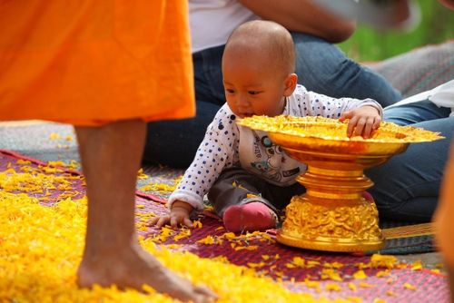 ภาพ No.6240:ประมวลภาพธุดงค์ธรรมชัย ปีที่ 2 วันที่ 6 มกราคม พ.ศ.2556