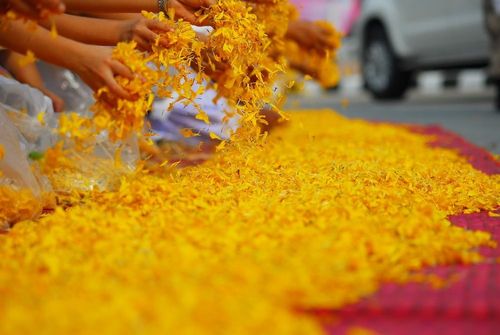 ภาพ No.6254:ประมวลภาพธุดงค์ธรรมชัย ปีที่ 2 วันที่ 6 มกราคม พ.ศ.2556