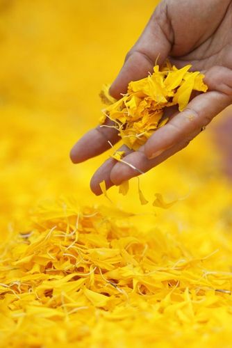 ภาพ No.6255:ประมวลภาพธุดงค์ธรรมชัย ปีที่ 2 วันที่ 6 มกราคม พ.ศ.2556