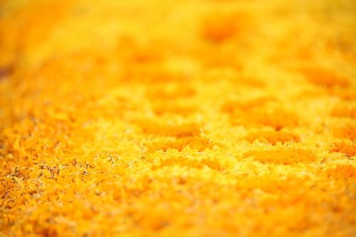 ภาพ No.6257:ประมวลภาพธุดงค์ธรรมชัย ปีที่ 2 วันที่ 6 มกราคม พ.ศ.2556