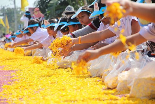 ภาพ No.6285:ประมวลภาพธุดงค์ธรรมชัย ปีที่ 2 วันที่ 7 มกราคม พ.ศ.2556