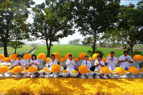 ภาพ No.6296:ประมวลภาพธุดงค์ธรรมชัย ปีที่ 2 วันที่ 7 มกราคม พ.ศ.2556