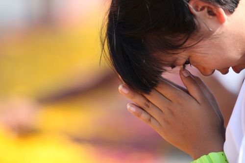 ภาพ No.6304:ประมวลภาพธุดงค์ธรรมชัย ปีที่ 2 วันที่ 7 มกราคม พ.ศ.2556