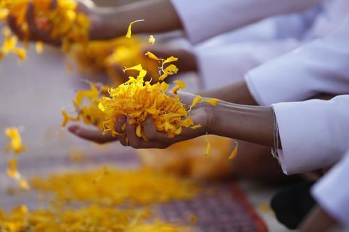 ภาพ No.6307:ประมวลภาพธุดงค์ธรรมชัย ปีที่ 2 วันที่ 7 มกราคม พ.ศ.2556