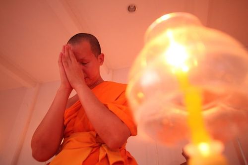 ภาพ No.6398:ประมวลภาพธุดงค์ธรรมชัย ปีที่ 2 วันที่ 9 มกราคม พ.ศ.2556