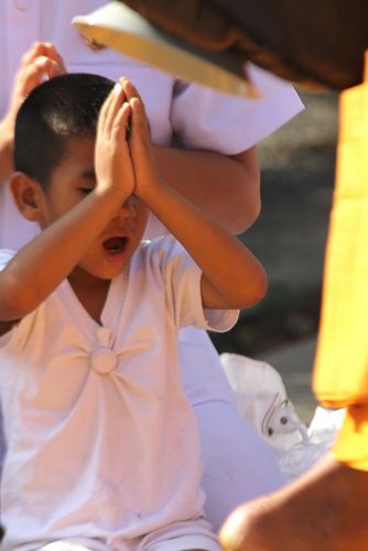 ภาพ No.6641:ประมวลภาพธุดงค์ธรรมชัย ปีที่ 2 วันที่ 12 มกราคม พ.ศ.2556